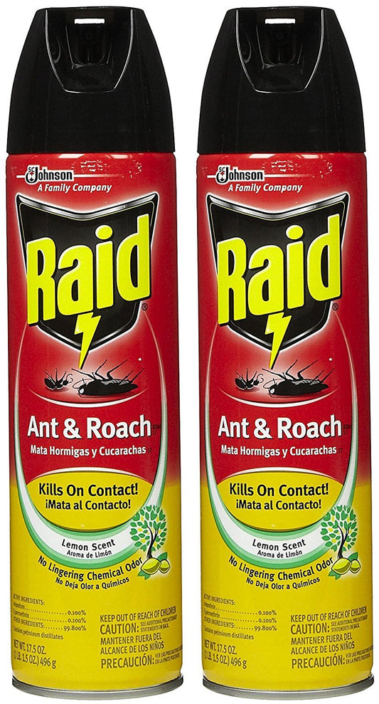 Raid Ant & Roach Killer Spray 17.5oz