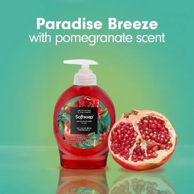 Softsoap Hand Soap with Pump 7.5oz