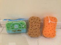 Sponges