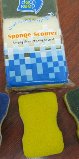 Sponges